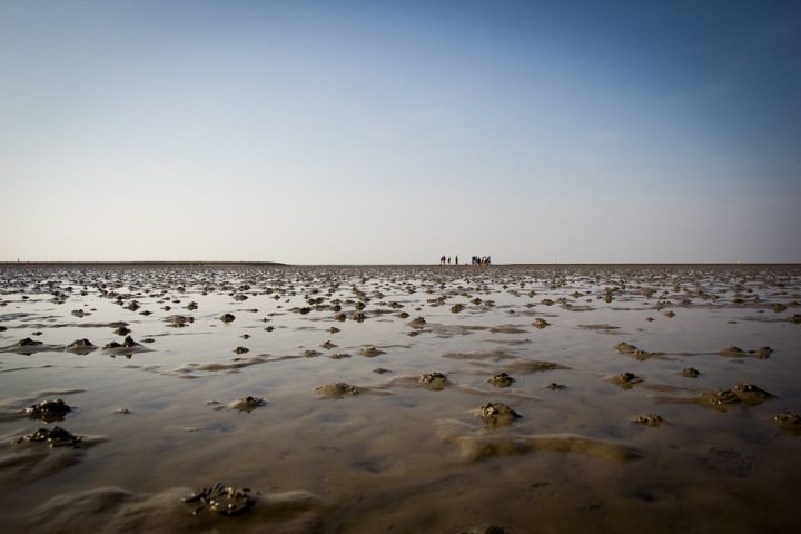 Morze Wattowe zdjęcia