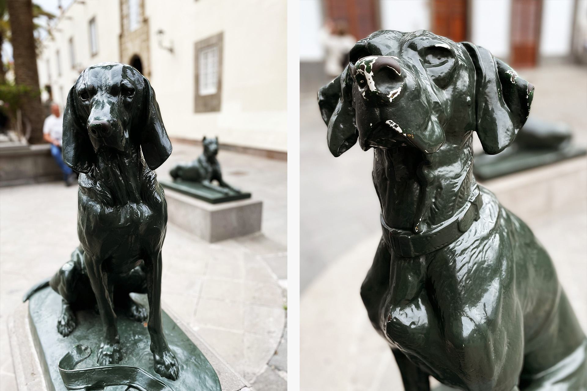 Vegueta w Las Palmas - pomniki psów